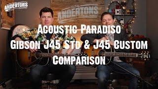 Acoustic Paradiso - Gibson J45 Standard & J45 Custom Comparison