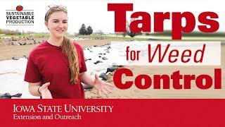 Exploring the Use of Tarps for Weed Control: A Research Project