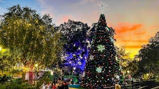 Mount Dora has an Amazing Christmas Display You'll Want to See!