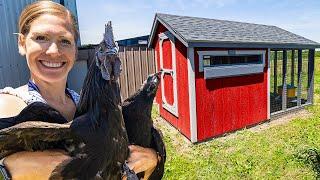 Our New Coop Has Arrived! The Start of the Breeding Village