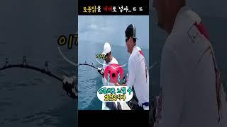 토종닭으로 잡은 300kg 자이언트 물고기ㄷㄷ