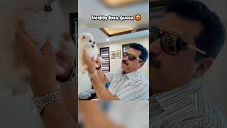 Noddy Ka Gussa  #familyvlog #familyfun #bhammukiduniya