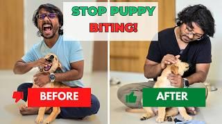 Unbelievable Start and Stop Technique to End Puppy Biting! | PetGuru Academy