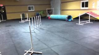 Agility Teams Training at DIM