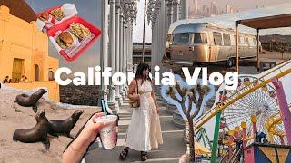 California Travel Vlog  San Diego, Joshua Tree,  and Los Angeles