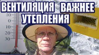 Вентиляция в улье зимой Влага и иней в ульях