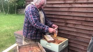 Willie Robson of Chainbridge Honey Farm checking through bees and honey