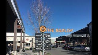 Sebastopol CITY TOUR! | The Barlow | Sonoma County California