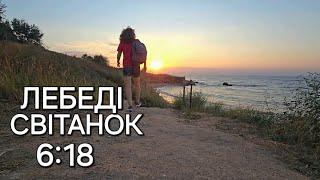 ОДЕСАСВІТАНОК 2.09.2024 Два рази за день на МОРЕ, ЛЕБЕДІ у ФОНТАНКЕ