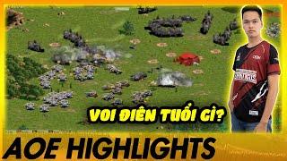 VOI ĐIÊN + Y THẦN - Chim Sẻ Đi Nắng CÂN TẤT CHO NÓ MÁT | AoE Highlights #aoe