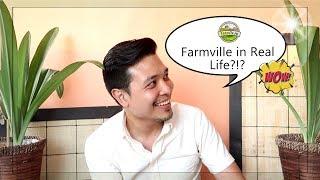 Farmville in Real Life?!? (Where to invest in the Philippines)