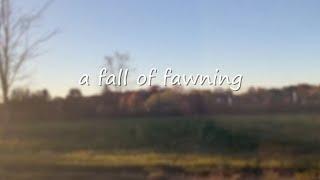 a fall of fawning