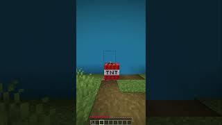 Minecraft Truman Show 5