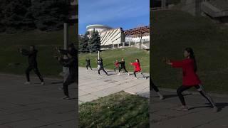Тайцзи или цигун "кулак воды" #цигун #тайцзи #ушу #кунгфу #qigong #taiji #taijiquan #taichichuan #