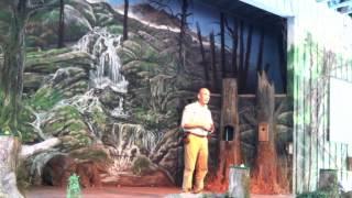 Dollywood Wings of America: Caracara