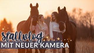 8,5h IM STALL | Neue Kamera | VLOG 71 | Pilsali