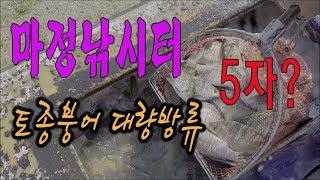 ftv피싱지오그래픽