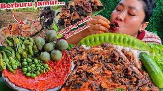 BERBURU JAMUR MATA KERBAU DAN JAMUR KUPING DIKEBUN LANGSUNG DIMASAK DAN MAKAN