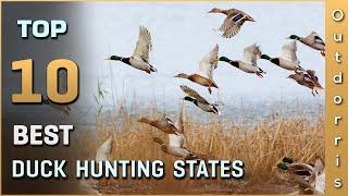 Top 10 Duck Hunting States