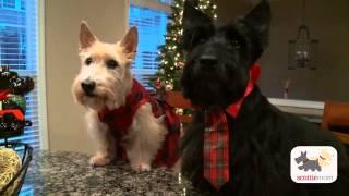 A Very Scottie Christmas