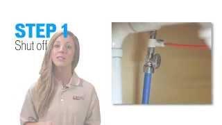 How to Sanitize a Reverse Osmosis (RO) System with Sani-System