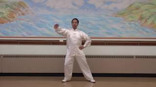 Chen Taiji Quan: Introduction