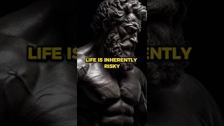 Life Is Inherently Risky #viral #stoic #motivation #marcusaurelius #shorts