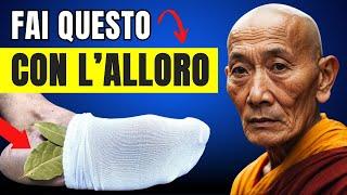 METTI UNA FOGLIA DI ALLORO SOTTO I PIEDI E NON AVRAI PIÙ BISOGNO DI MEDICINE | Saggezza Buddista