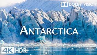 Antarctica 4K • Discovering the Majestic Icebergs and Pristine Wilderness | Relaxing Music