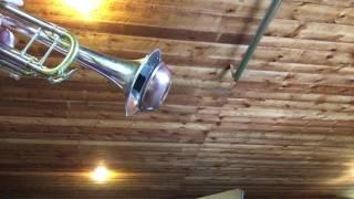 Tom Crown Copper Bottom Straight Mute Demo