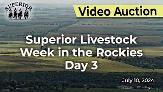 Superior Livestock Auction - Week in the Rockies Day 3