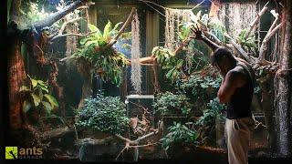 An Invasive Species Could Be THE END to My Giant Rainforest Vivarium