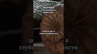 Как возник морфий? #морфий #опиум #история #медицина