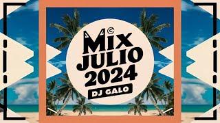 MIX TOP JULIO 2024 (WYA REMIX RED, GANGSTA LOVE, GATA ONLY, SI ANTES TE HUBIERA CONOCIDO) | DJ GALO