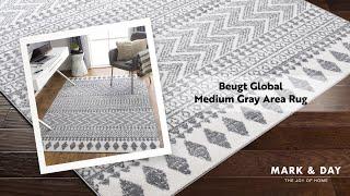 Beugt Global Medium Gray Area Rug