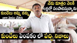 KYR Rabbit Farming &Breeding In Hyderabad | Rabbit Farming Problems Telugu | N5 Media