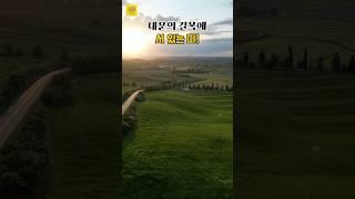 대운의 길목에 '서' 있는 띠  #띠별운세 #풍수 #사주 #대운상승 #행운