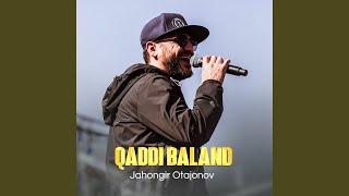 Qaddi baland