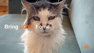 Bring Love Home!