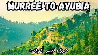 murree to ayubia | ayubia murree |  ayubia national park | murree to ayubia road | ayubia chair lift