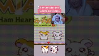  Hamtaro Stream Test!  #hamtaro #streamer #test