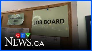 Young adults struggling to find jobs | CTV News Red Deer news: May 22