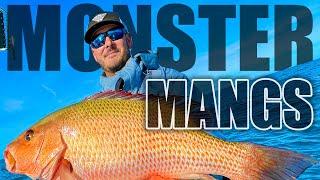 How to Catch Monster Mangrove Snapper - Anna Maria Island, Florida (Fishing With Salty)