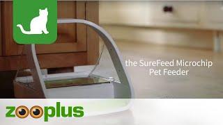 SureFeed Microchip Pet Feeder | zooplus.co.uk