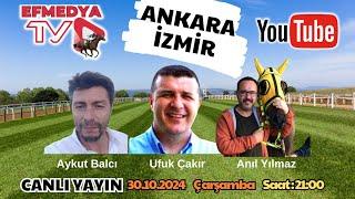 31.10.2024 Perşembe Ankara ve İzmir Altılı Ganyan, At Yarışları tahminleri