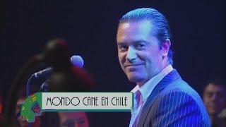 Mike Patton / Mondo Cane - Teatro Caupolicán, Santiago, Chile, Sep. 21, 2011 (HD) (Full Show)