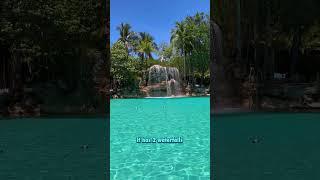Exploring Paradise: Discovering the Beauty of Venetian Pool in Coral Gables, Florida