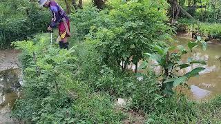 PAGLILINIS NG PILAPIL SA VSM FARM !/ VAL SANTOS MATUBANG/ KALINGAP RAB/ ATE EDNA VLOGS