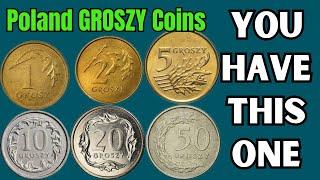 TOP 6 POLAND GROSZY COINS IN CIRCULATION WORTH MONEY!