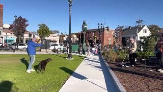 Milton Chamber’s Halloween Stroll